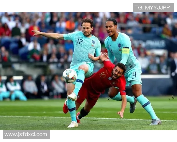 欧洲杯球迷支持与主场优势关系研究