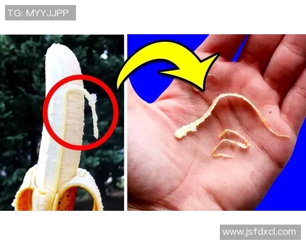 你不知道的公牛：十大冷知识大揭秘