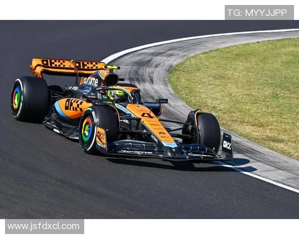 F1赛车技术革新与赛事战略调整的关键案例分析 F1赛车技术革新与赛事战略调整的关键案例分析